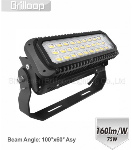 M17: 75W Modular Floodlight